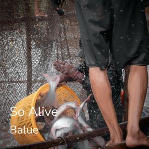 Download track So Alive (Fisher! Mans Instrumental Version) Balue