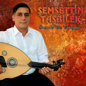 Download track Bir Demet Çiçek Aldım Şemsettin Taşbilek