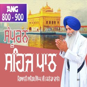 Download track Ang 870 To 880 Sehaj Path Sri Guru Granth Sahib Ji Bhai Sahib Singh Canada Wale