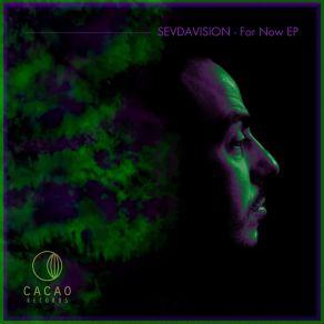 Download track OK (Original Mix) Sevdavision