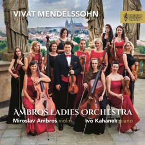 Download track Concerto For Violin, Piano And Strings In D Minor, MWV O4 I. Allegro Ivo Kahanek, Miroslav Ambroš, Ambroš Ladies Orchestra