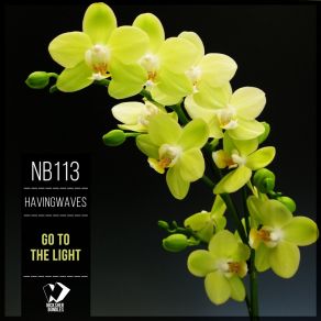 Download track Go To The Light (Original Mix) Havingwaves