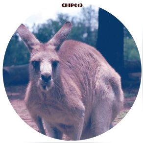 Download track Skippy (Rico Tubbs Remix) Dr. Cryptic