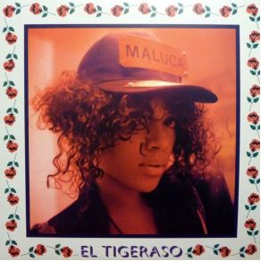 Download track El Tigeraso (NGUZUNGUZU Remix) Maluca