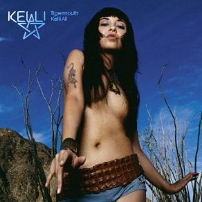 Download track Fellow Man Kelli Ali