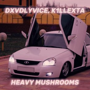 Download track HEAVY MUSHROOMS (Sped Up) K1LLEXTA