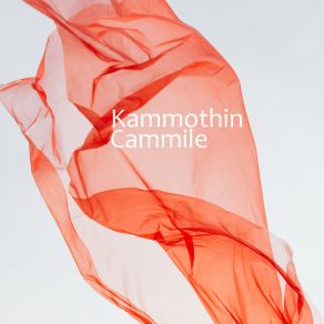 Download track Tempation Kammothin