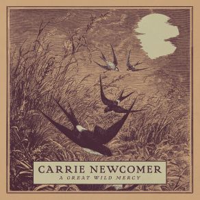 Download track Path Through The Evening Woods Carrie Newcomer