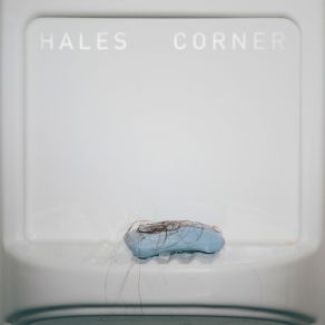 Download track Welcome Hales Corner