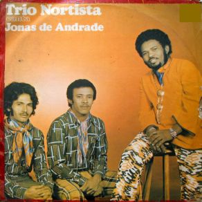 Download track Na Lua Não Tem Mulata Trio Nortista