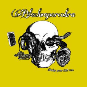 Download track Whats Wrong With You Blackvaporcobra