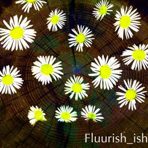 Download track Nourishing Fluurish Ish