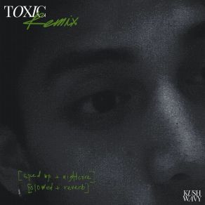 Download track Toxic (Slowed + Reverb) KushwavyReverb