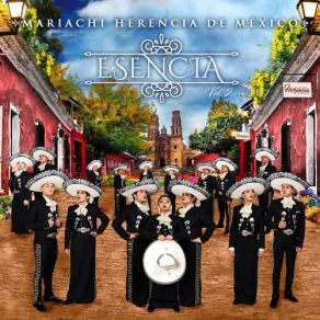 Download track Se Me Olvidó Otra Vez Mariachi Herencia De Mexico