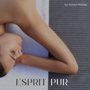 Download track Musique De Relaxation Profonde Spa Musique Massage