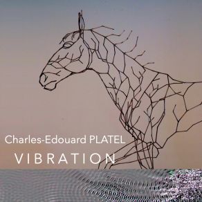 Download track ANIMA Charles Edouard Platel