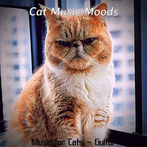 Download track Heavenly Resting Kittens Cat Music Moods