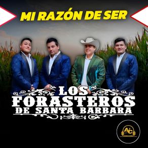 Download track Traicionera / Mujer Dificil Los Forasteros De Santa Barbara