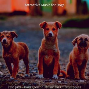 Download track Modish Ambience For Sleeping Dogs Attractive Music For Dogs