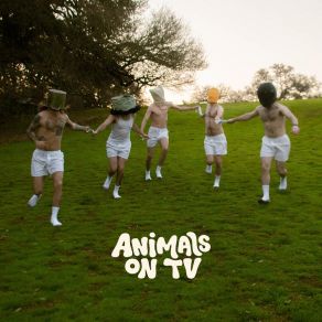 Download track Waking Up Early Animals On TV