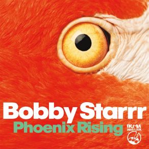 Download track All Day Long (Dub) Bobby Starr