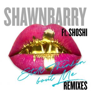 Download track Still Thinkin Bout Me (The Stereo Flow Remix) Shawn BarryThe Stereo Flow