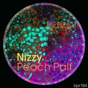 Download track Palf Nizzy