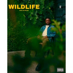 Download track Wildlife Dera RaymondDv'k