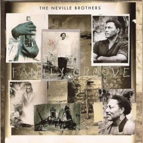 Download track It Takes More The Neville Brothers