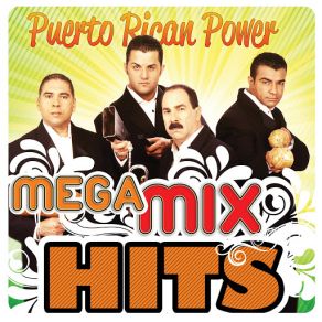 Download track Quiero Volver Contigo (Mega MixHits) The Puerto Rican Power