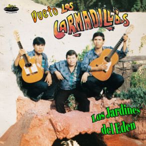 Download track Mis Tiempos Pasados Dueto Los Armadillos