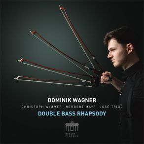 Download track Bach: Violin Partita No. 2 In D Minor, BWV 1004: Chaconne, Pt. 1 (Arr. By Dominik Wagner) Dominik Wagner