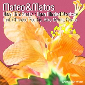 Download track Deep Afro Roots (Christos Fourkis Afrogressive Mix) Mateo & Matos