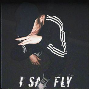 Download track I Say Fly Sokolfly