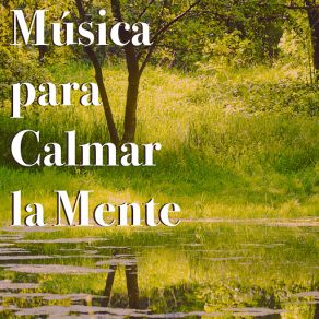 Download track Musica De Flauta Para Relajar (Sonidos De Agua) Relajacion Del Mar