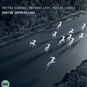 Download track Improvisation On Bulgarian Rhythms - Mikrokosmos 115 & 150 Mátyás Szandai | Mathias Lévy | Miklós Lukács