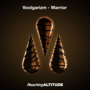 Download track Warrior (Extended Mix) Voolgarizm