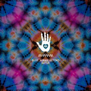 Download track 2 Brains (Original Mix) BLUE AURAS