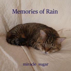 Download track What Is A Simple Miracle Sugar