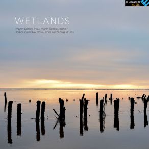 Download track Wetlands Martin Schack