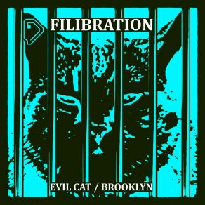 Download track Evil Cat Filibration