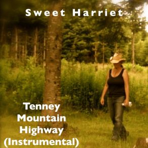 Download track Tenney Mountain Highway (Instrumental) Sweet Harriet