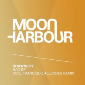 Download track Sacrifice (Francisco Allendes Remix) Shawnecy