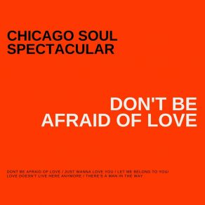 Download track Don't Be Afraid Of Love Chicago Soul SpectacularDaniel Kyri