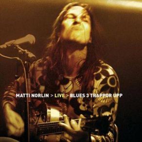 Download track Mainstream Blues Matti Norlin