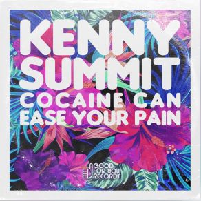 Download track Cocaine Can Ease Your Pain Kenny Summit