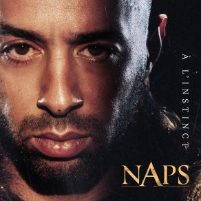 Download track Des Fois Naps