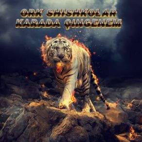 Download track Kuchek ORK SHISHKOLAR