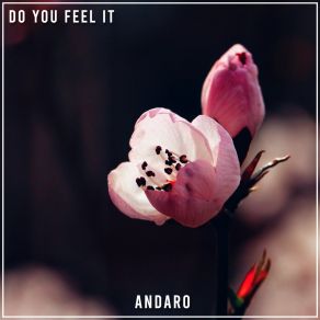 Download track Do You Feel It (Radio Edit) Andaro