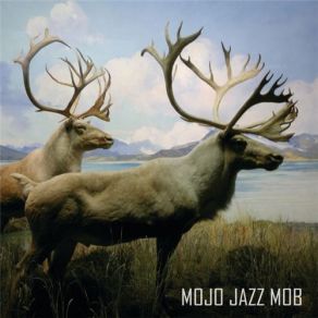 Download track Tornado Torpedo Mojo Jazz Mob